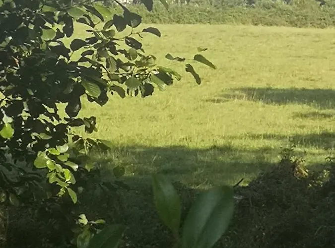 Chic Et Romantique Merlot Pres De Bordeaux 公寓 *