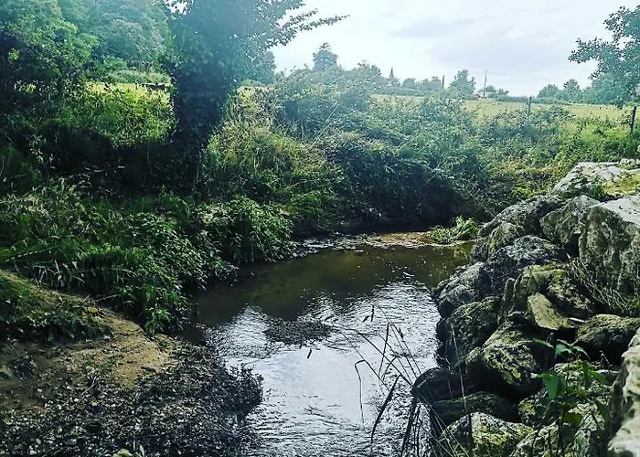 Appartement Chic Et Romantique Merlot Pres De Bordeaux