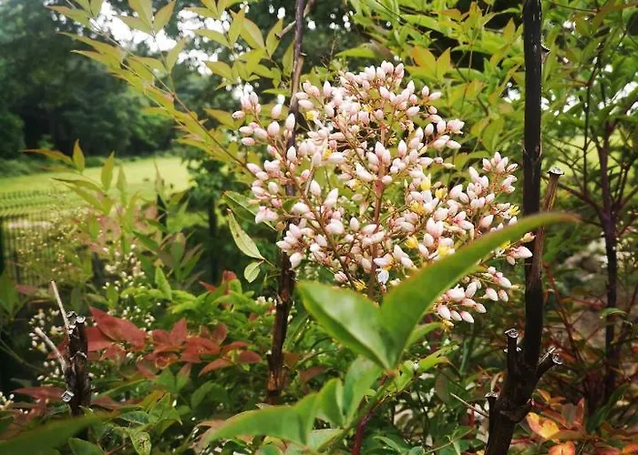 Chic Et Romantique Merlot Pres De Bordeaux